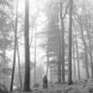 Meet your Posher, Fay